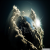 tomylee73